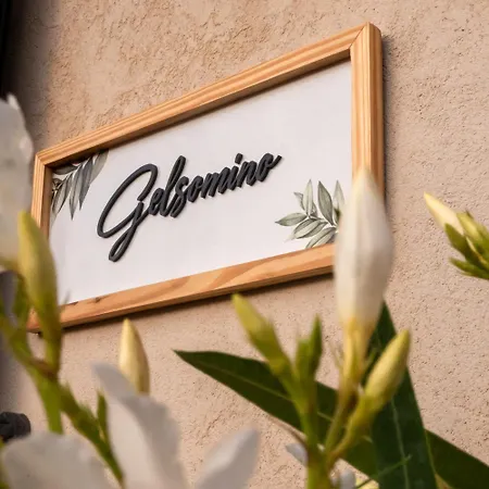 Gelsomino