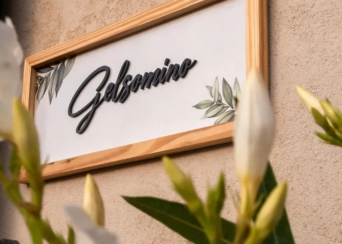 Gelsomino